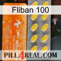 Fliban 100 new05